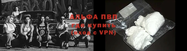прущие крисы Лабытнанги