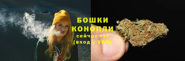 тгк Кулебаки