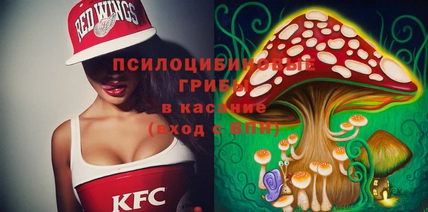 тгк Ладушкин